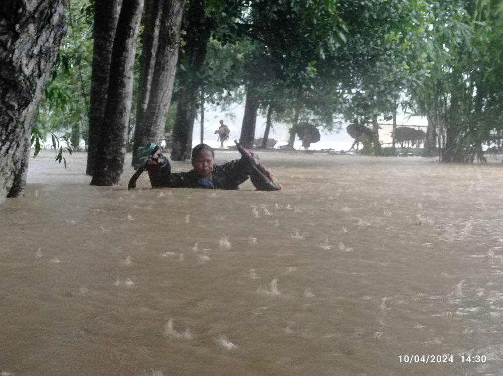 ছবি কৃতজ্ঞতাঃ গ্রিতু মানকিন