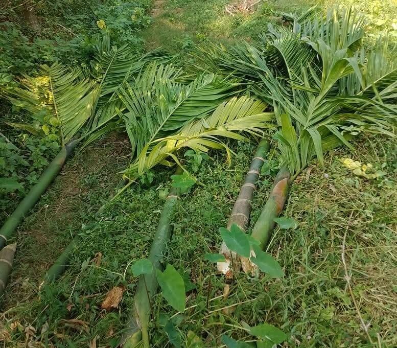 <a class="html5gallery-posttitle-link" href="https://ipnewsbd.net/%e0%a6%b6%e0%a7%87%e0%a6%b0%e0%a6%aa%e0%a7%81%e0%a6%b0-%e0%a6%9c%e0%a7%87%e0%a6%b2%e0%a6%be%e0%a6%b0-%e0%a6%b6%e0%a7%8d%e0%a6%b0%e0%a7%80%e0%a6%ac%e0%a6%b0%e0%a6%a6%e0%a7%80-%e0%a6%89%e0%a6%aa/" target="_self">শেরপুর জেলার শ্রীবরদী উপজেলায় গারোদের সুপারি গাছ কর্তন</a>